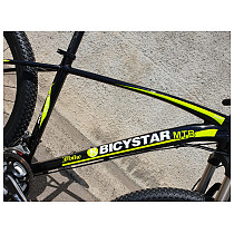 Bicystar MTB 29" Velosipēdi
